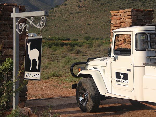 Captive breeding of Klipspringer and Blue Duiker